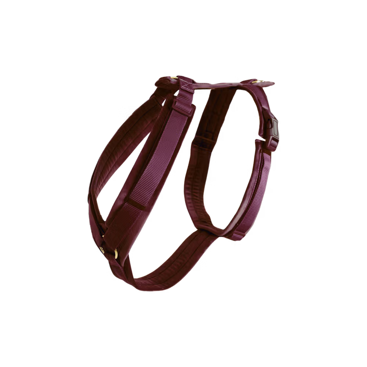 Kentucky Dogwear
Dog Harness Active Velvet Red