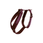 Kentucky Dogwear
Dog Harness Active Velvet Red
