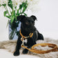 Kentucky Dogwear
Dog Leash Velvet 120 cm