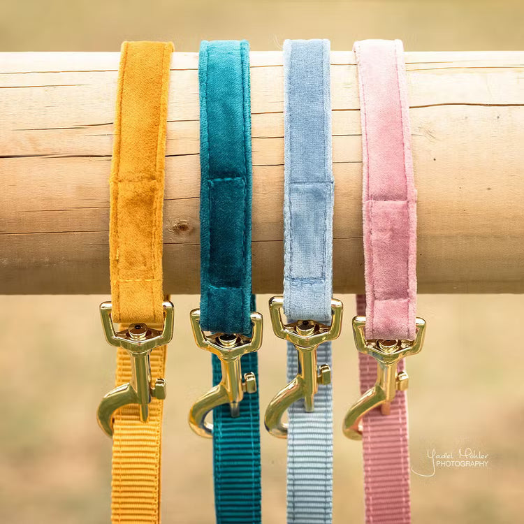 Kentucky Dogwear
Dog Leash Velvet 120 cm