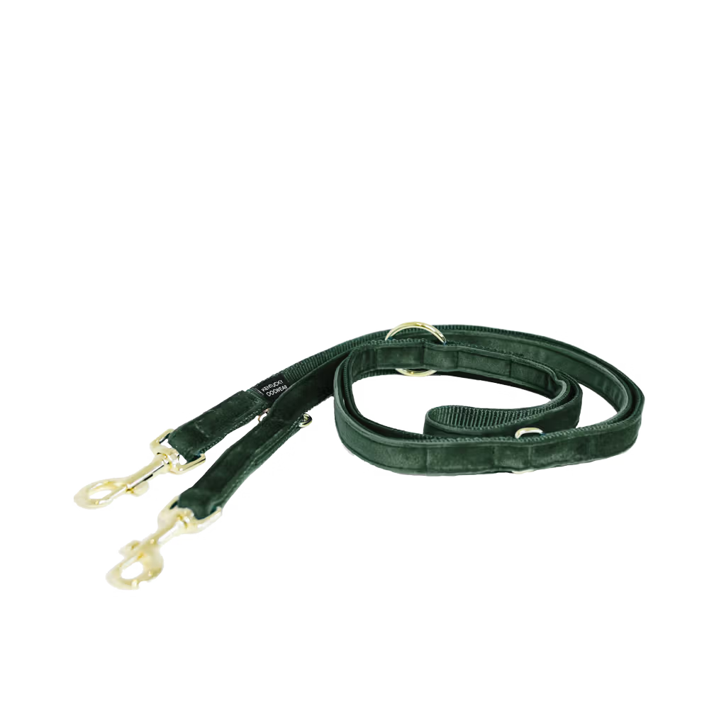 Kentucky Dogwear
Dog Leash Velvet 200 cm Green