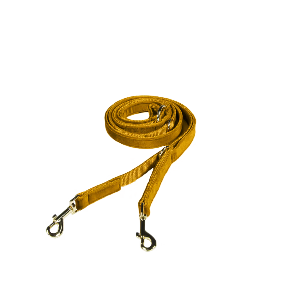 Kentucky Dogwear
Dog Leash Velvet 200 cm Mustard
