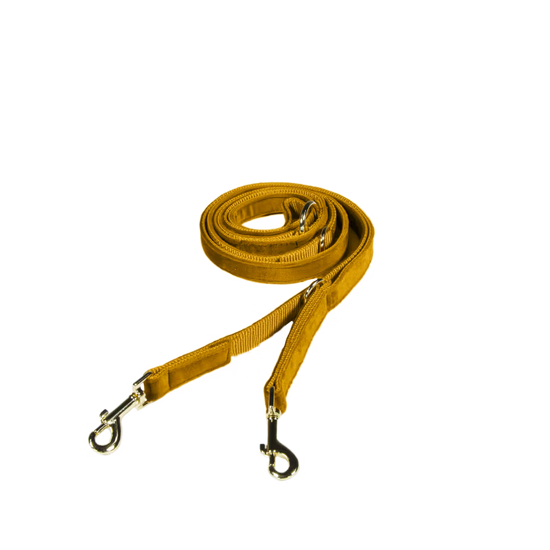 Kentucky Dogwear
Dog Leash Velvet 200 cm Mustard
