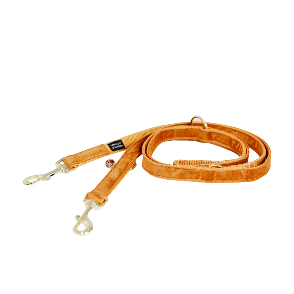 Kentucky Dogwear
Dog Leash Velvet 200 cm Orange