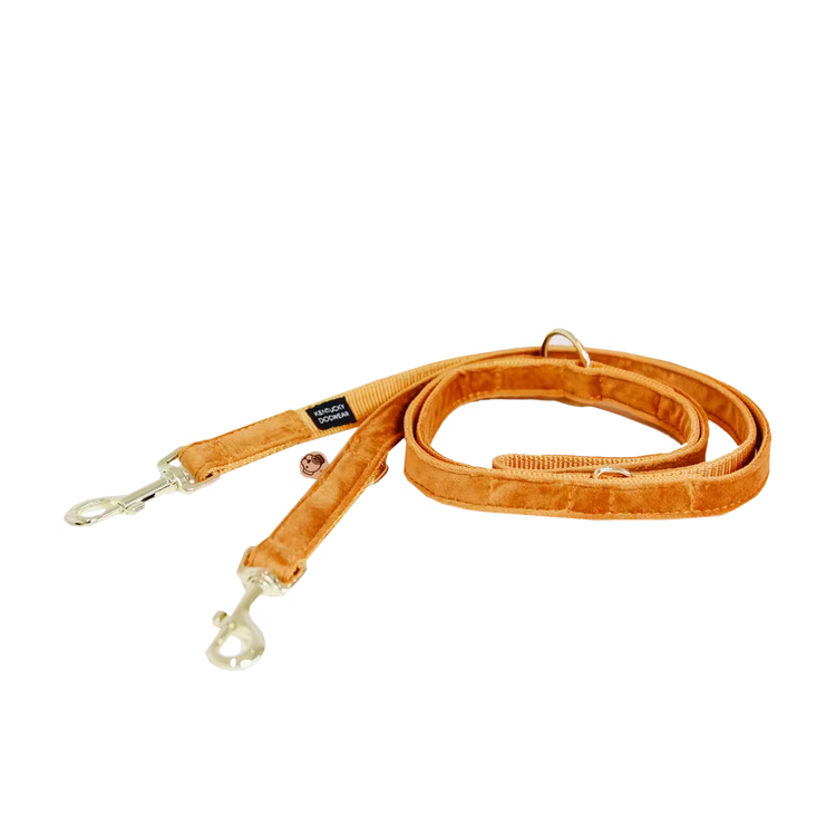 Kentucky Dogwear
Dog Leash Velvet 200 cm Orange