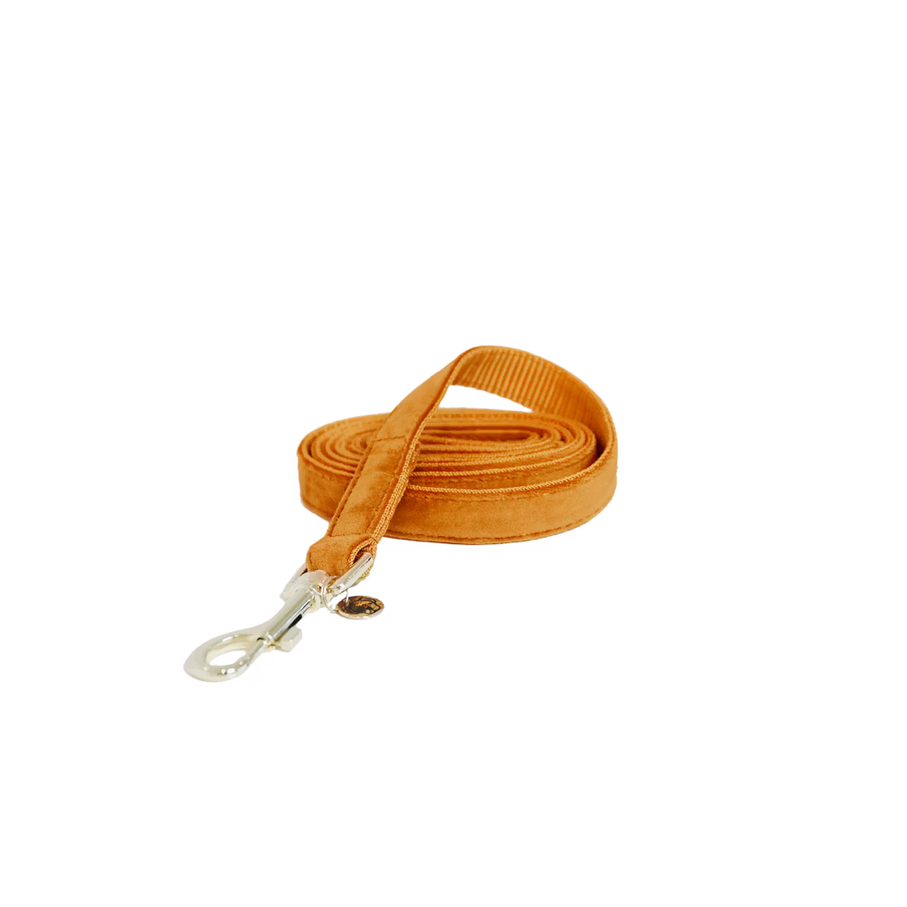 Kentucky Dogwear Dog Leash Velvet   Orange