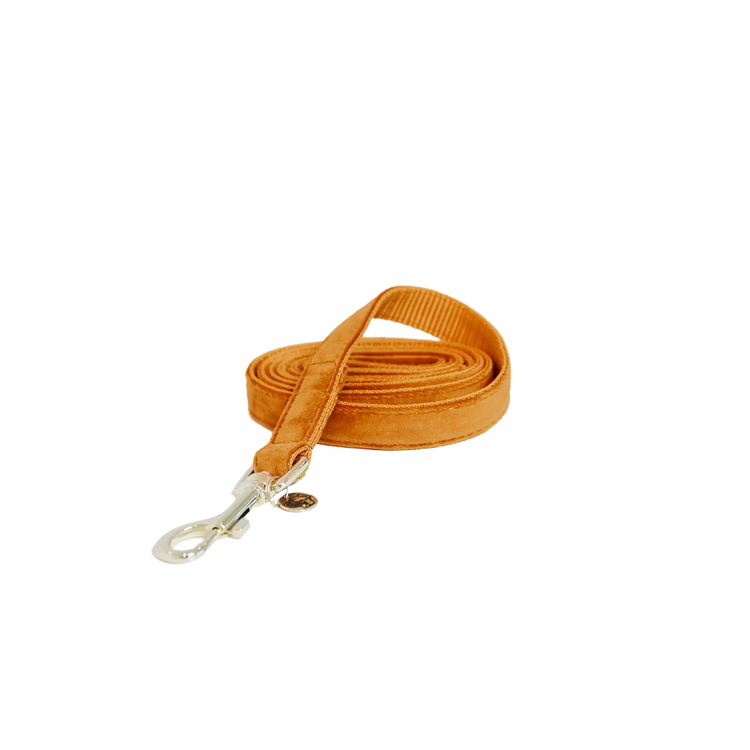 Kentucky Dogwear Dog Leash Velvet   Orange
