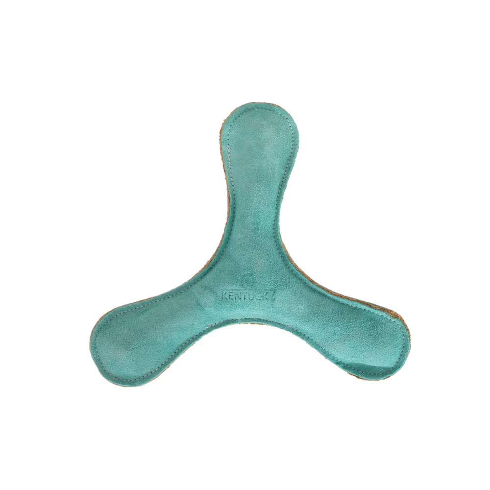 Kentucky Dogwear
Dog Toy Pastel Boomerang Emerald