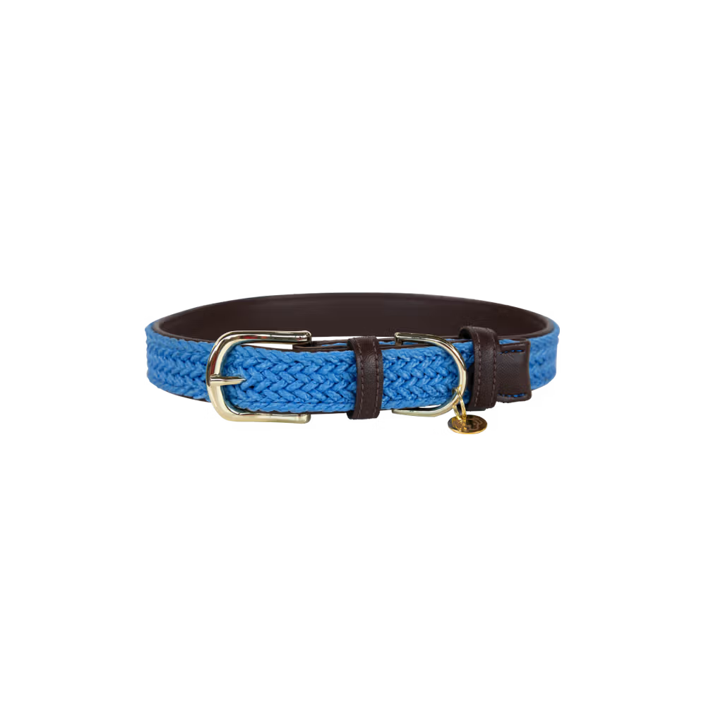 Kentucky Dogwear
Plaited Nylon Dog Collar Blue