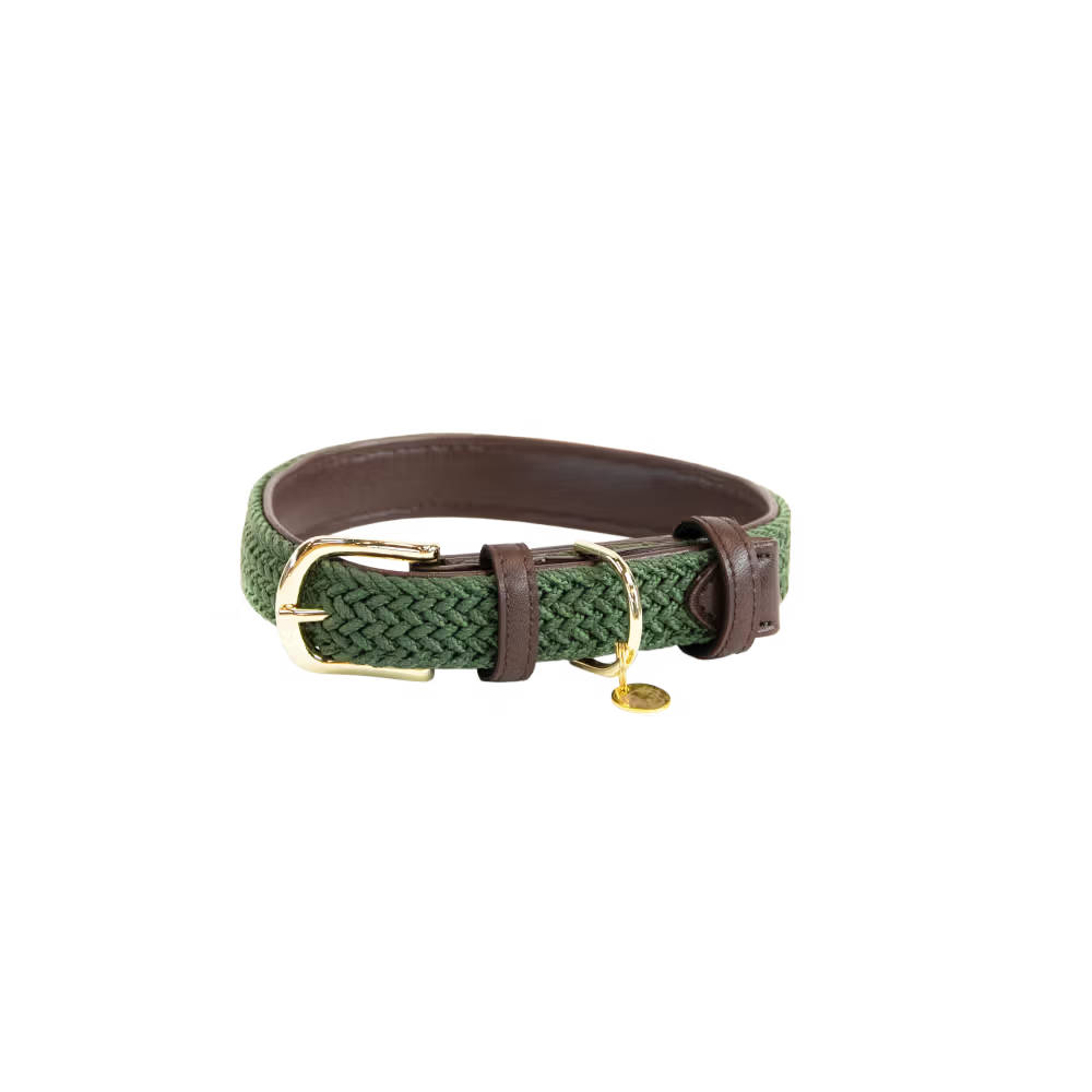 Kentucky Dogwear
Plaited Nylon Dog Collar Green