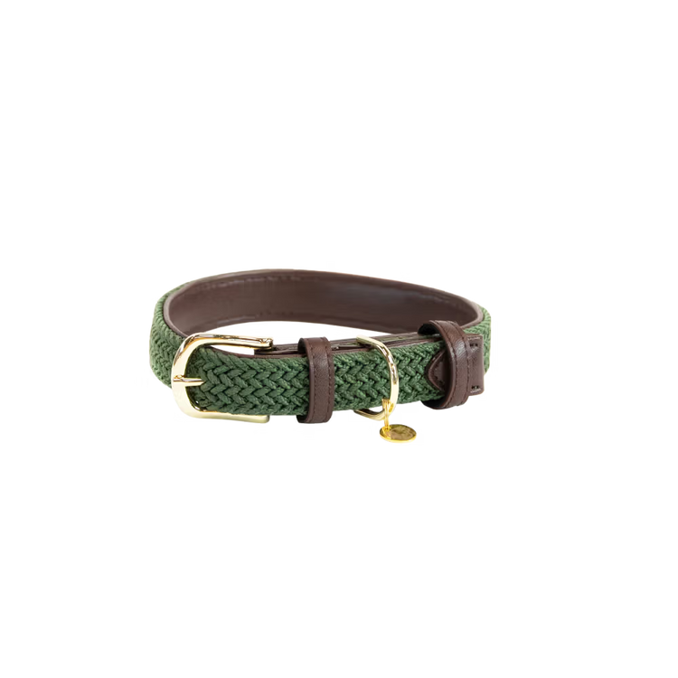 Kentucky Dogwear
Plaited Nylon Dog Collar Green