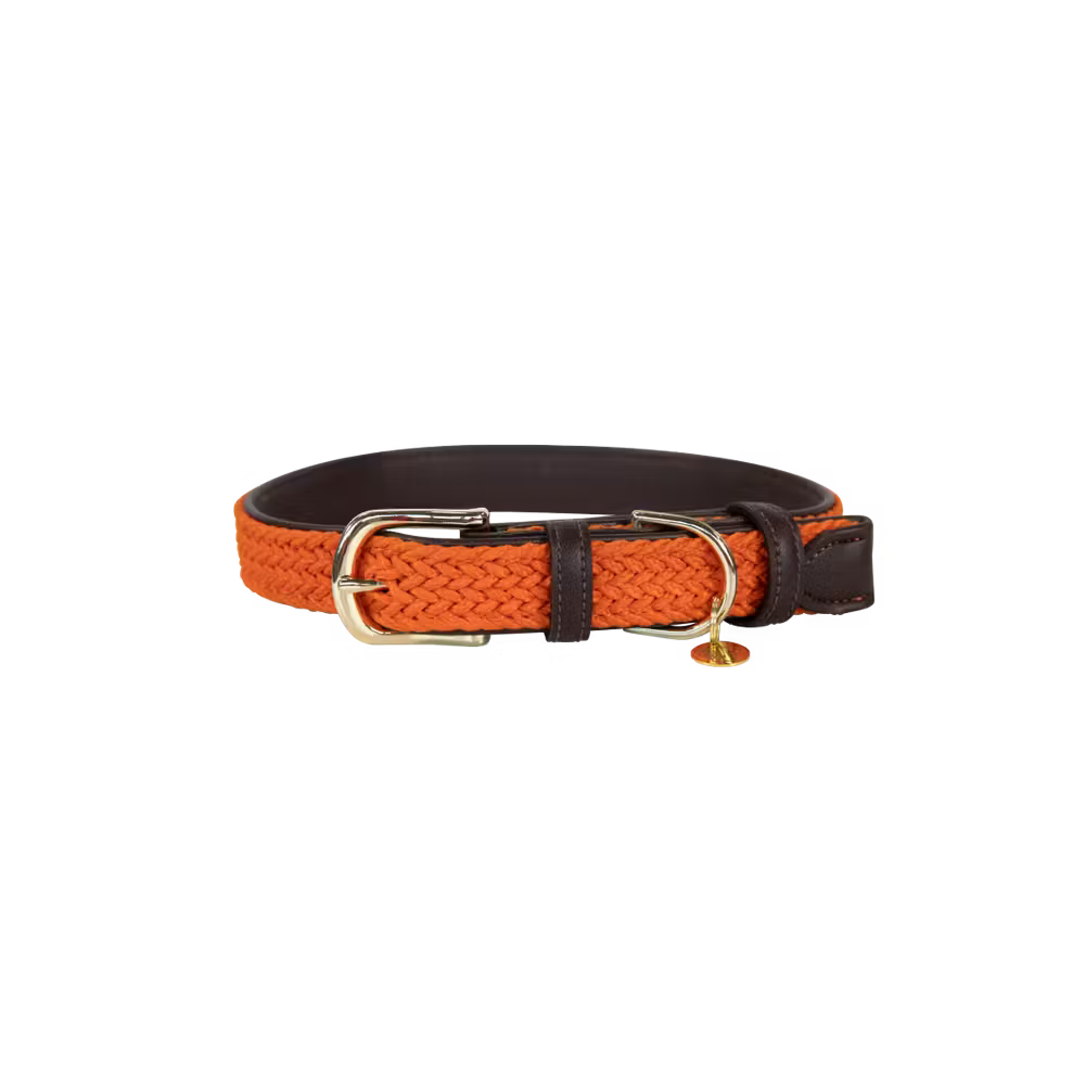 Kentucky Dogwear
Plaited Nylon Dog Collar Orange
