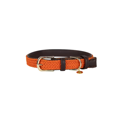 Kentucky Dogwear
Plaited Nylon Dog Collar Orange