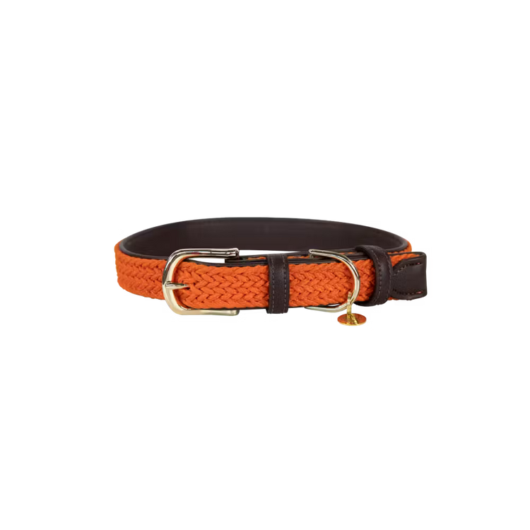 Kentucky Dogwear
Plaited Nylon Dog Collar Orange