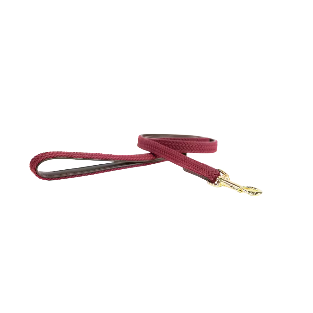 Kentucky Dogwear
Plaited Nylon Dog Leash 120cm Red