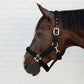 breathable horse halter with cushioned mesh panels for everyday use black