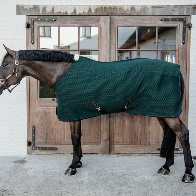 Best cooler rug for horses
