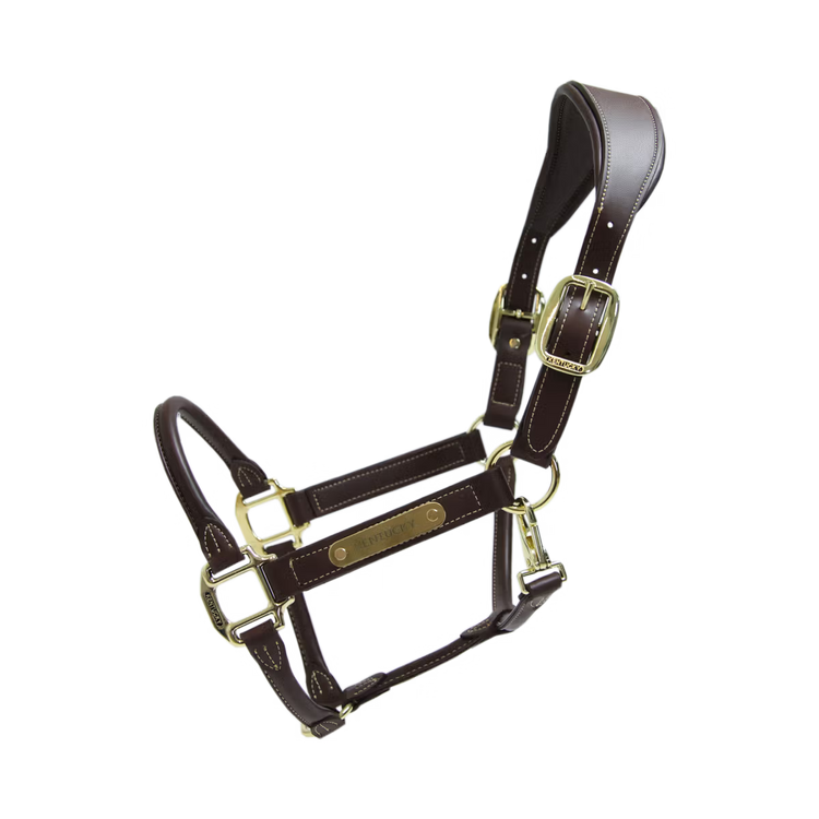  Leather Halter Brown
