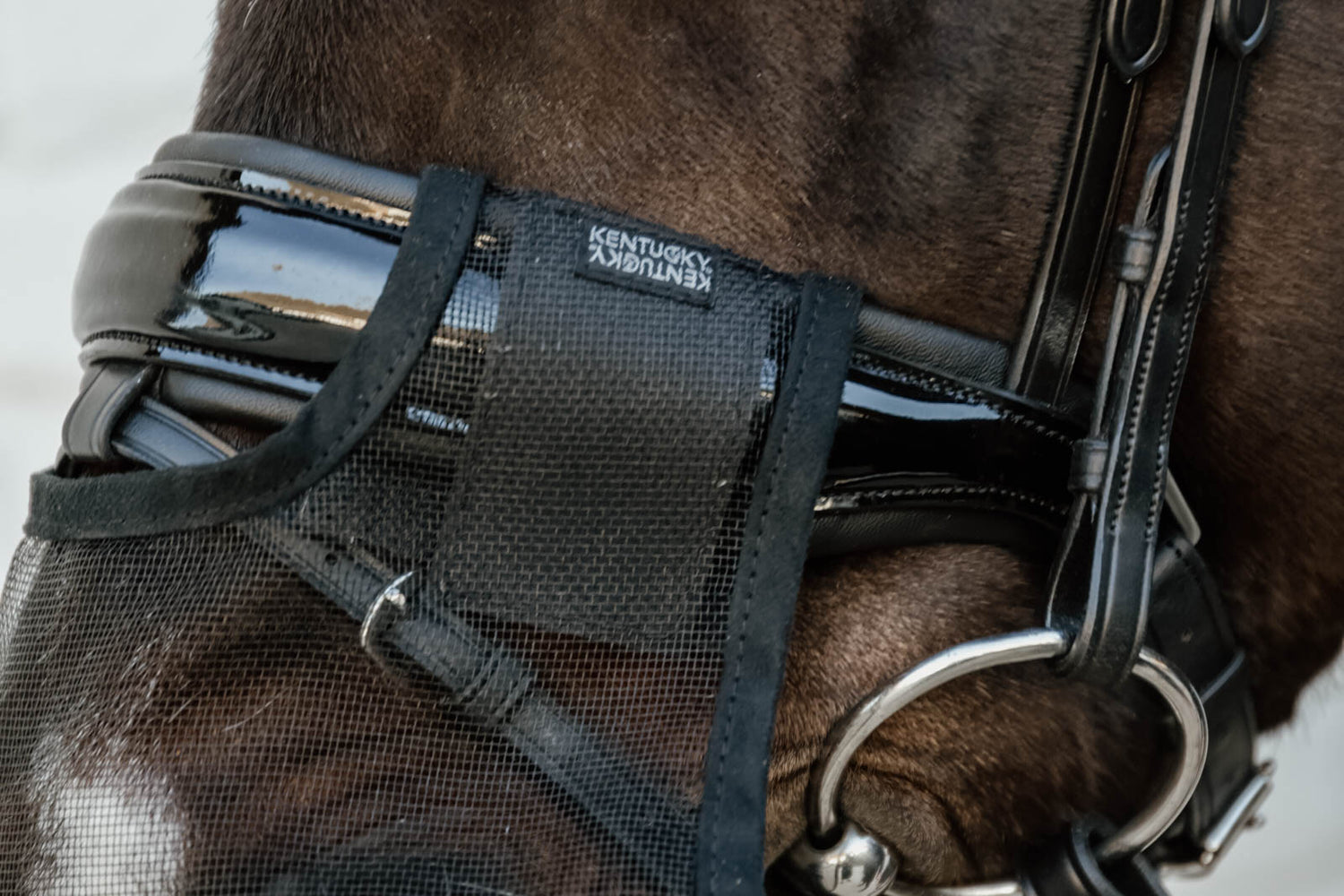 Kentucky Horsewear
Anti Fly Nose Net