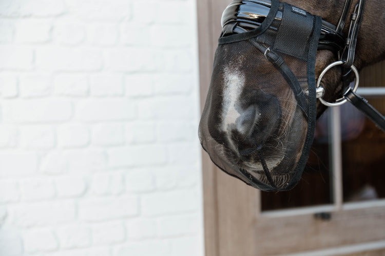 Kentucky Horsewear
Anti Fly Nose Net