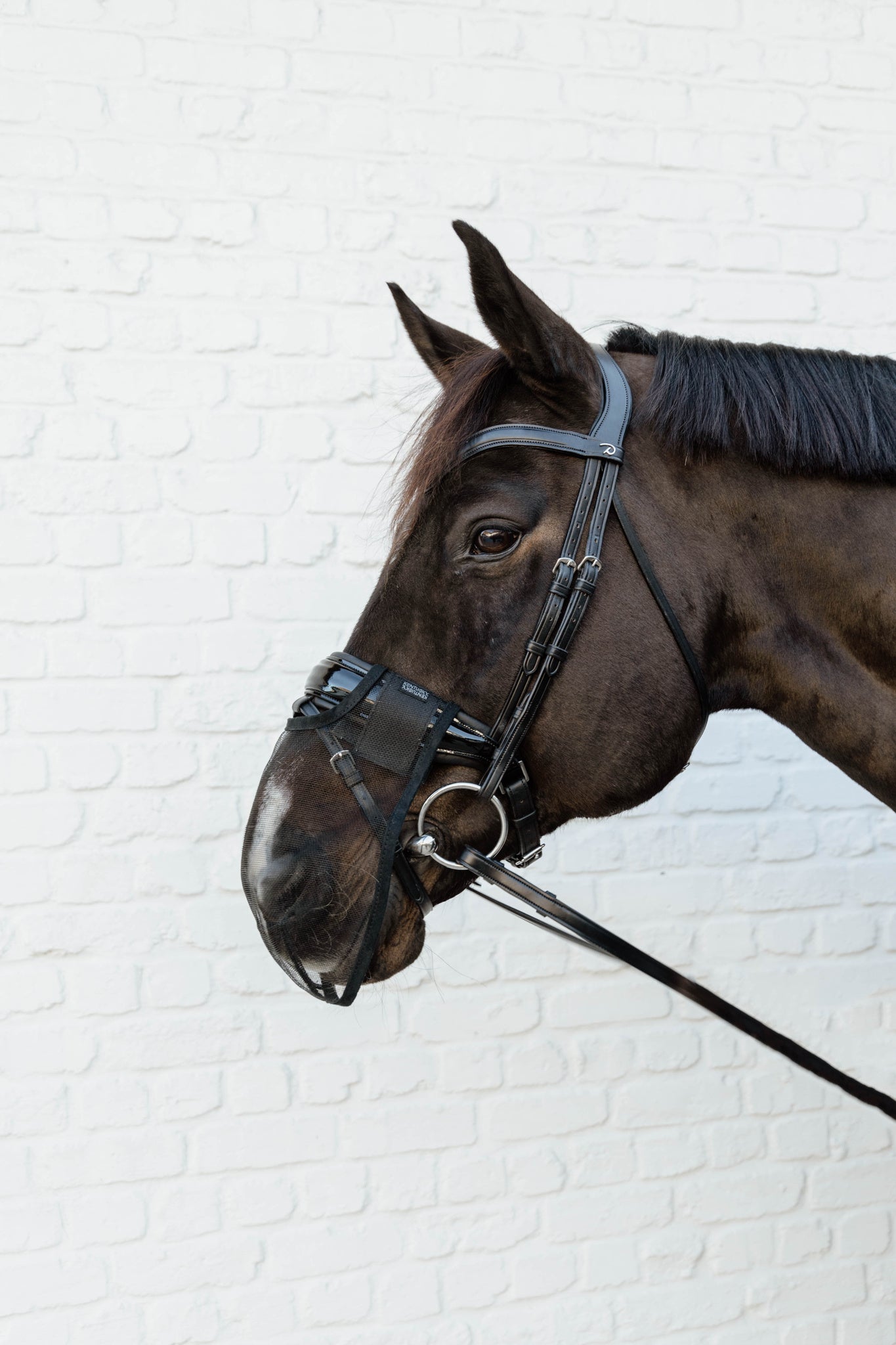 Kentucky Horsewear
Anti Fly Nose Net Black