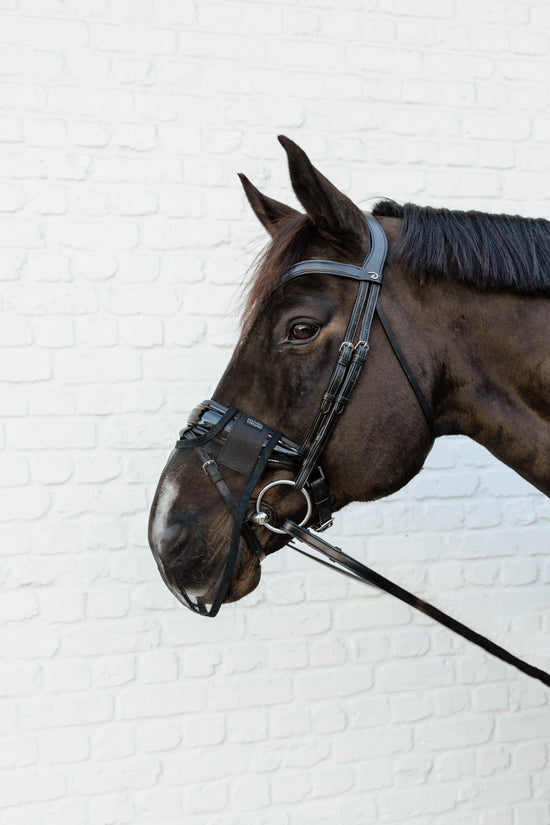 Kentucky Horsewear
Anti Fly Nose Net Black
