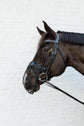Kentucky Horsewear
Anti Fly Nose Net Black