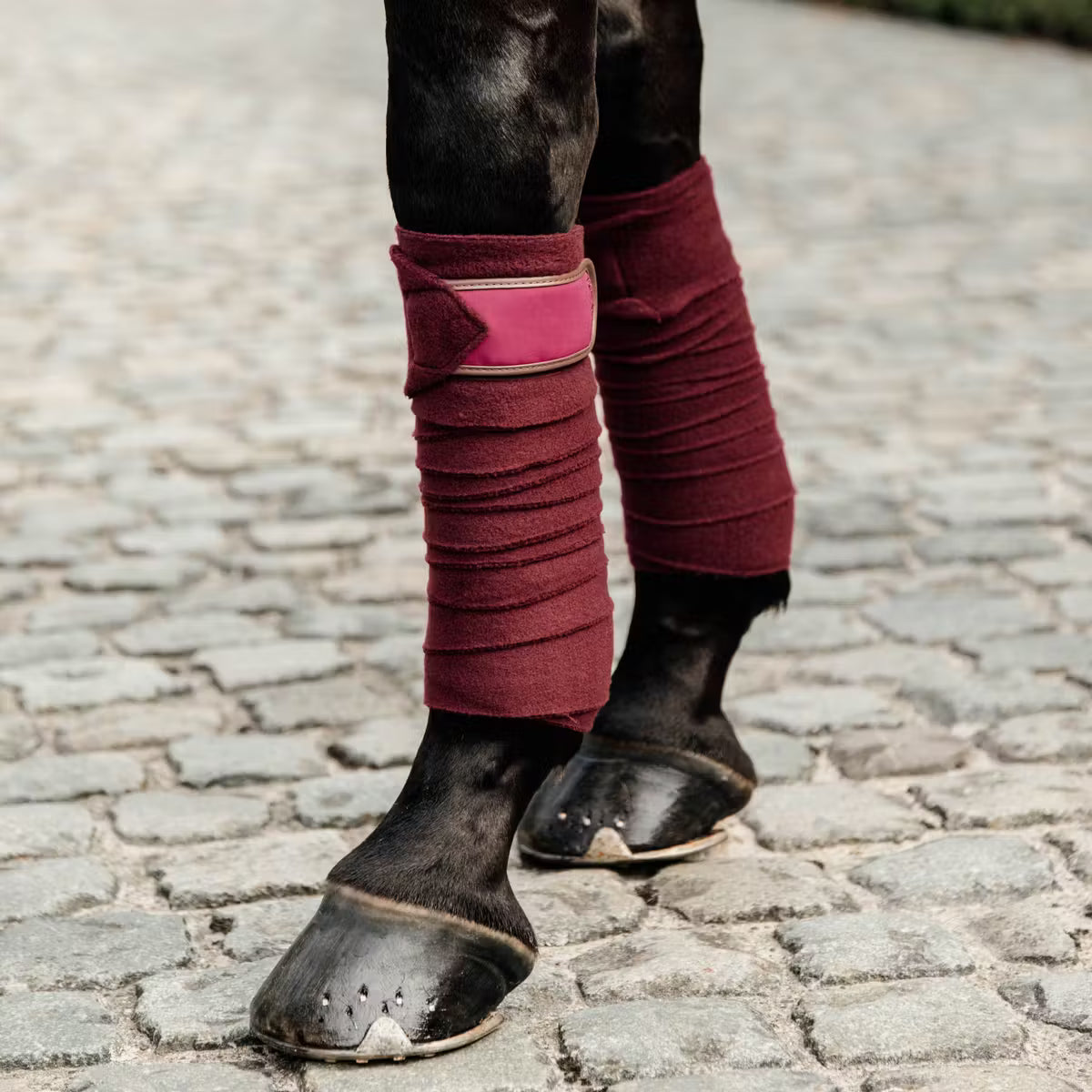 Kentucky Horsewear
Bandages