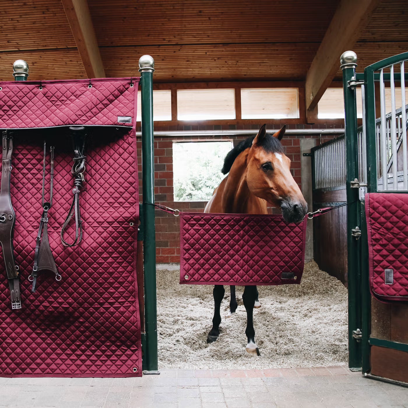 Kentucky Horsewear Bordeaux Stable Set