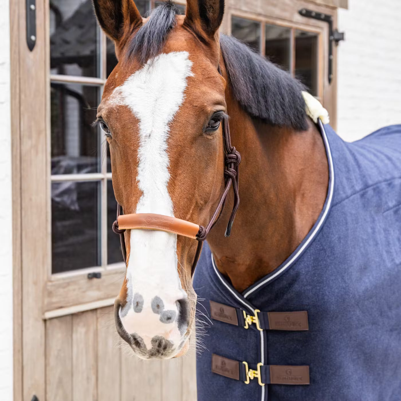 Rope Halter for horses in brown
