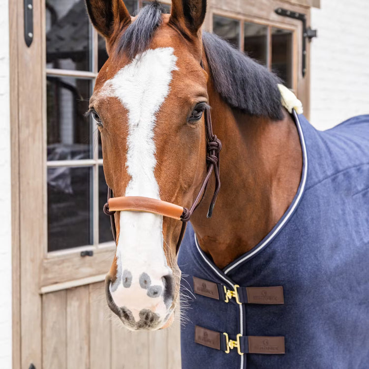 Rope Halter for horses in brown