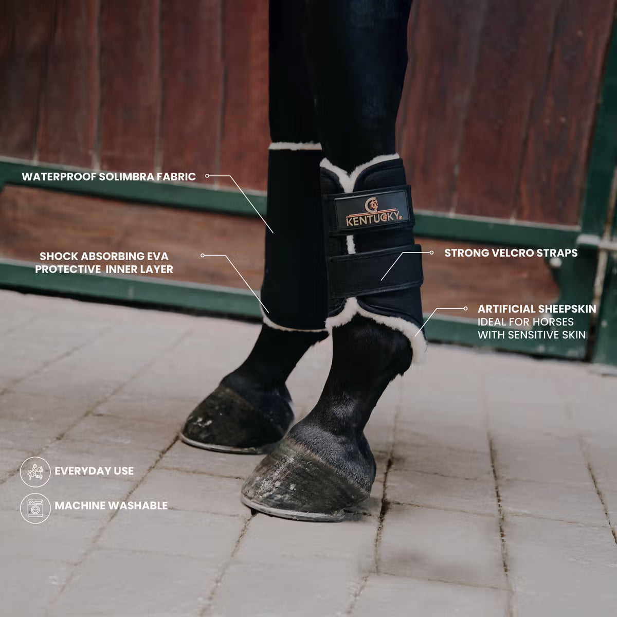 Tournout boots horses