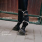 Tournout boots horses