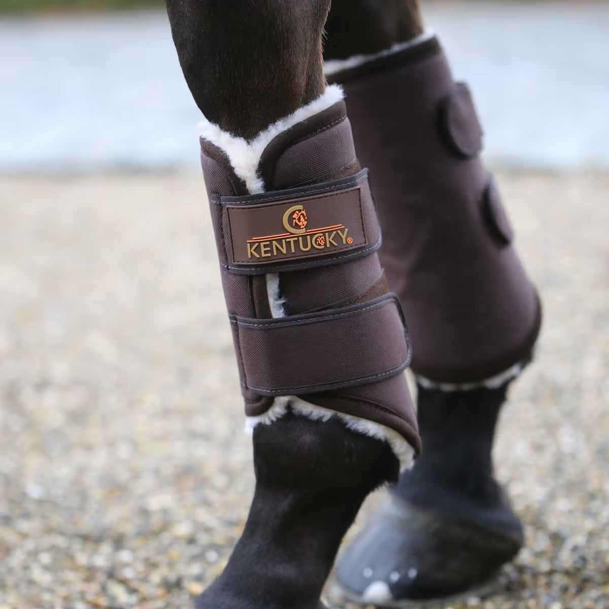 boots horses kentucky