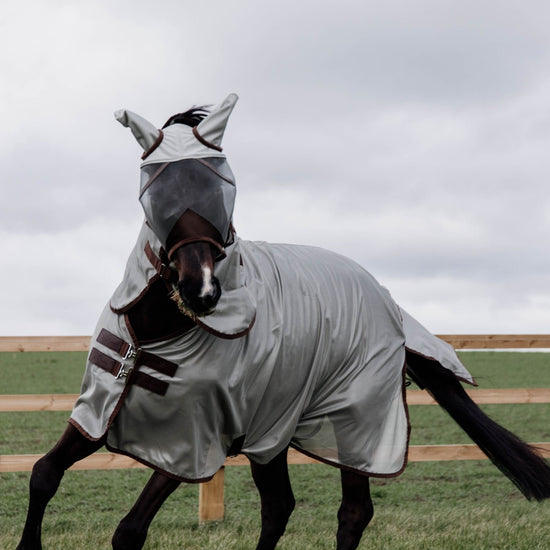 Protective fly set for turnout horses 