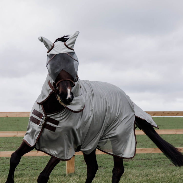 Protective fly set for turnout horses 