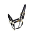 Kentucky control halter