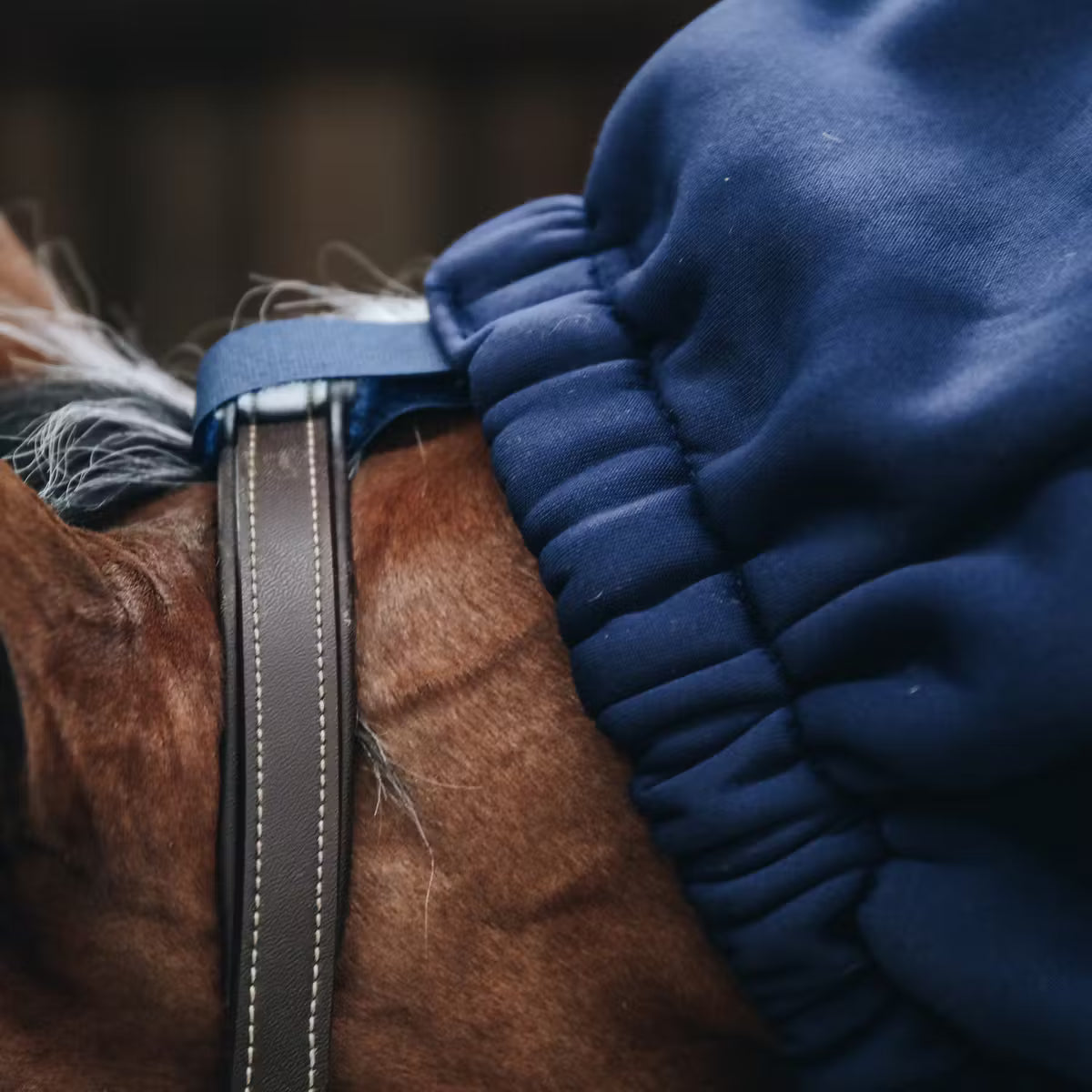  stable, transport, after washing or riding