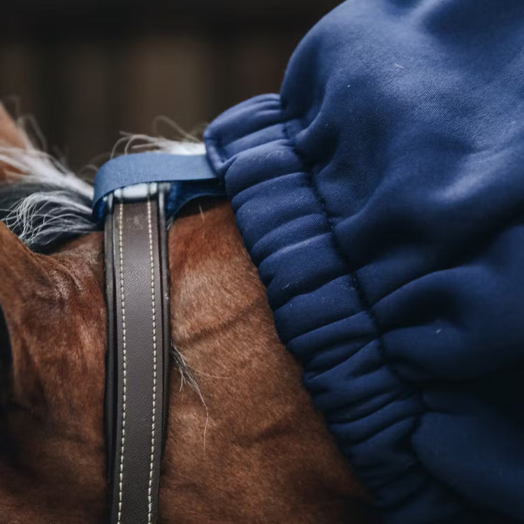  stable, transport, after washing or riding