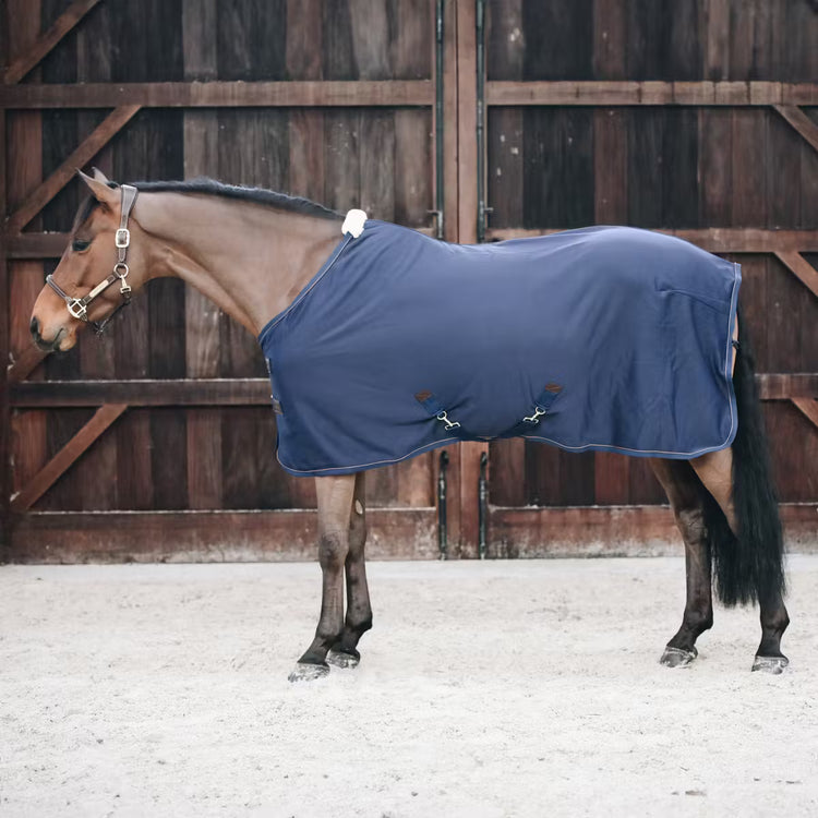 winter stable rug