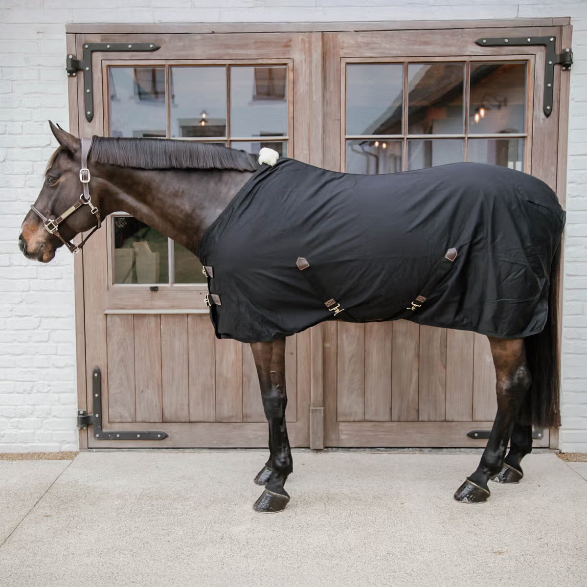Light and durable rug