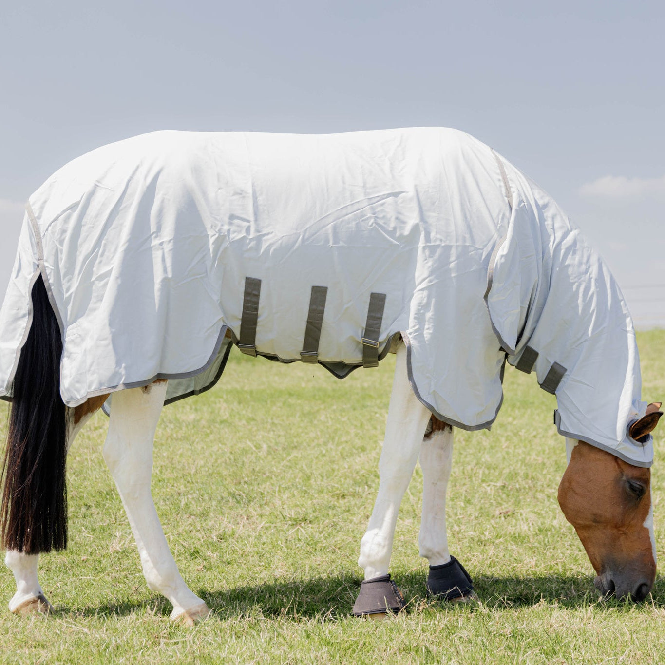 Kentucky Horsewear Eczema Rug