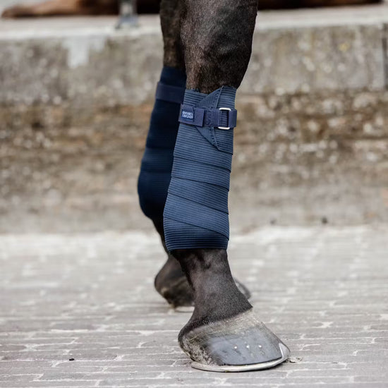 kentucky bandages