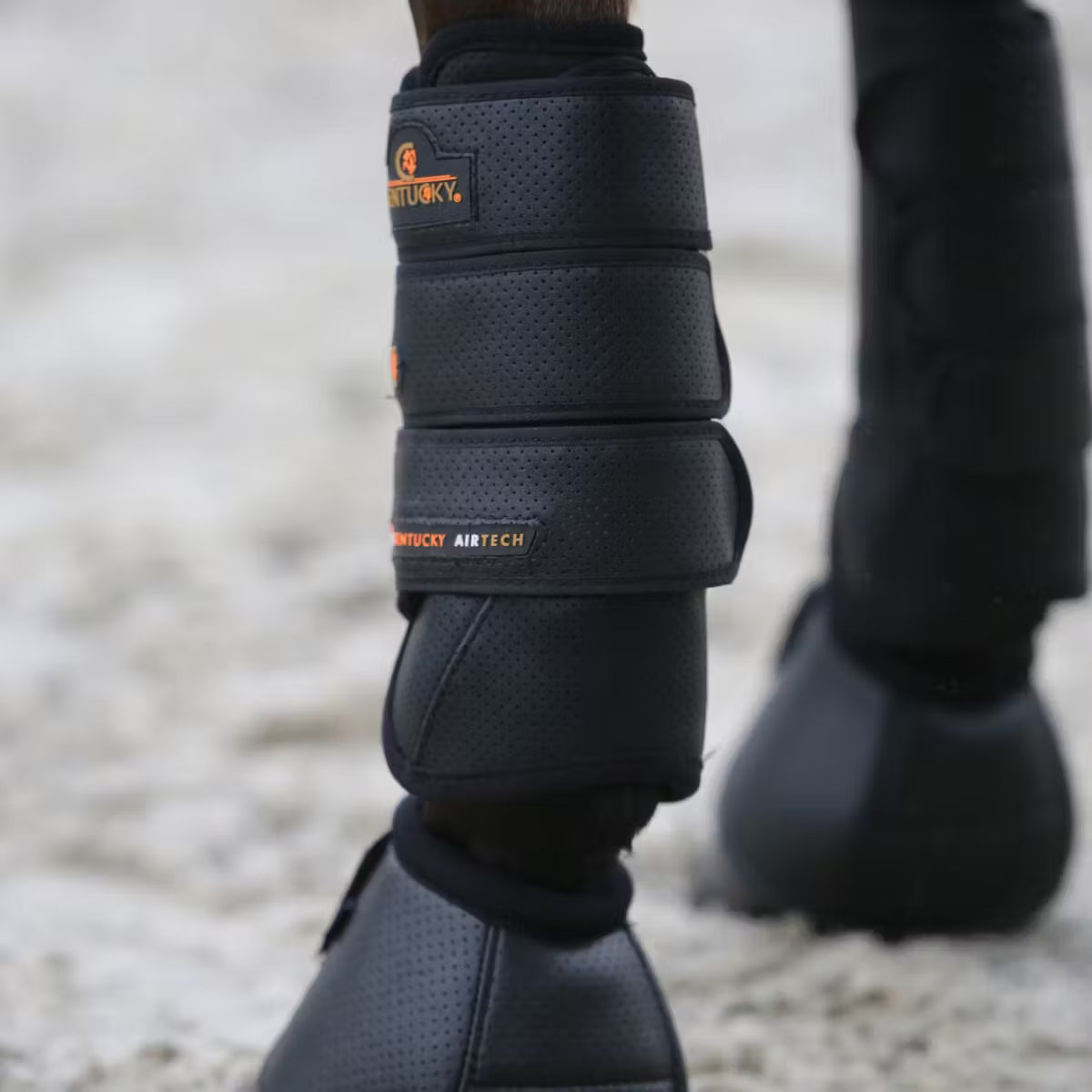 front boots horses