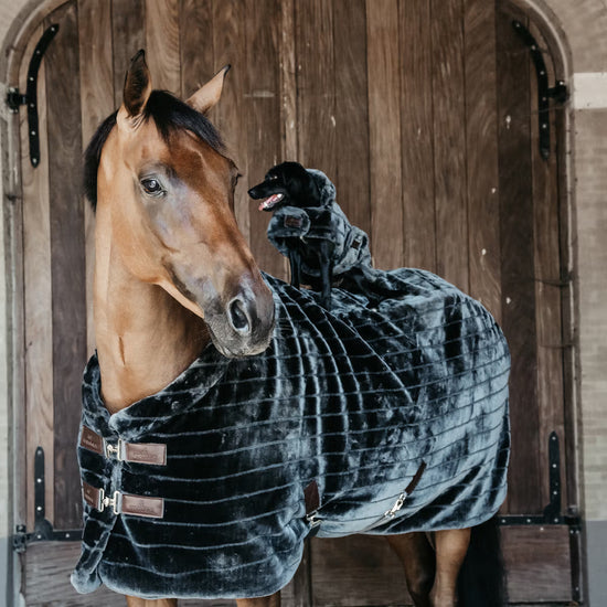 Very chic stable rug