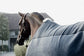 stable rug horses 