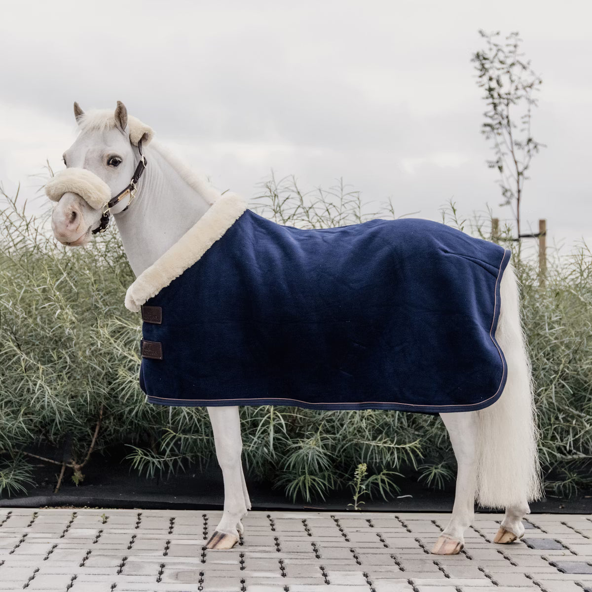 pony fleece rug 