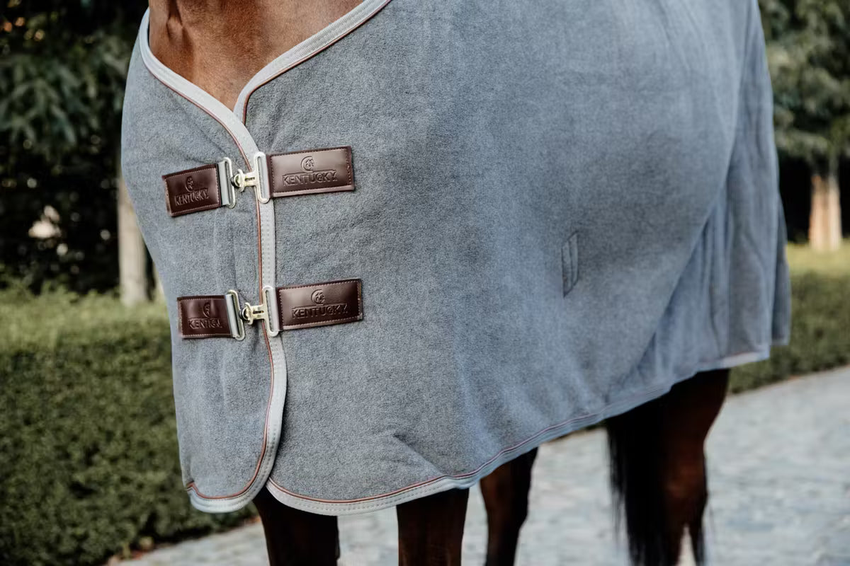 cooler rug winter