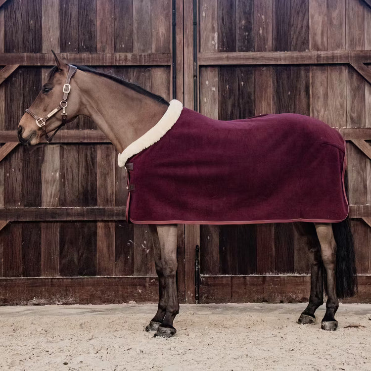 transport rug kentucky