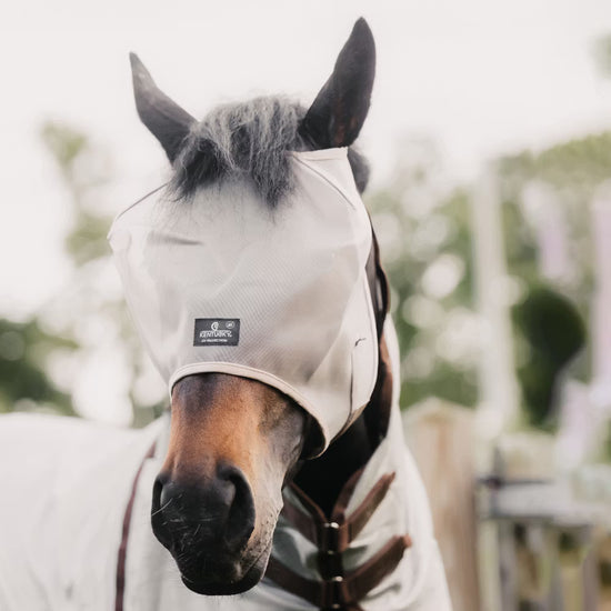 Kentucky Horsewear
Fly Mask Classic without ears